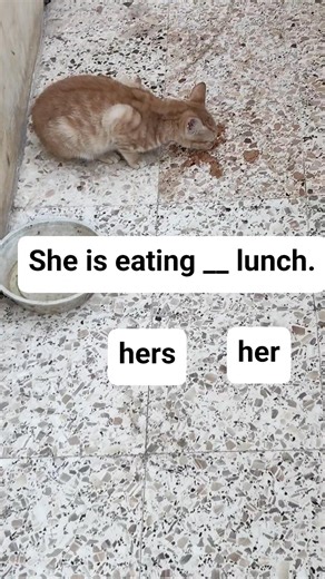 🤔 | English Tutor .