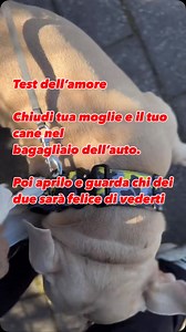 Test da fare (forse) 😂 | Giancarlo Zita