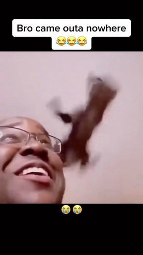 JAYSON ROBY | This clip is traumatizing😂😂😂 #reels #comedy #clip #viral #dog | Instagram