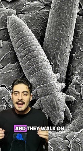 There are BUGS on your face! 🐛😱 #wildlife #universe #biology