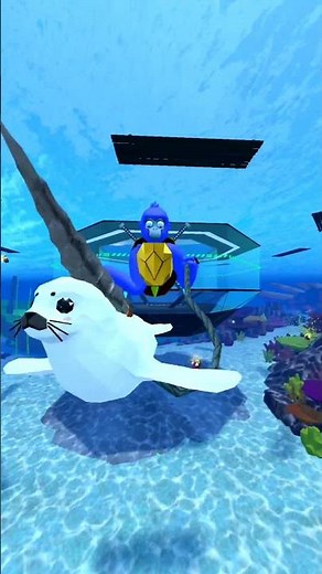 Narwhals Narwhals swimming in the ocean!!! trend ‪@SharkGoVR‬ #sharkgo #ocean #funny #narwhals