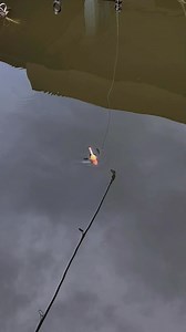 Mancing boncos kok ngamuk🤣 | Mas Malik