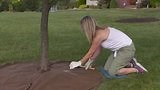 Reviews for Vigoro 0.8 cu. ft. Black Bagged Recycled Rubber Mulch | Pg 1 - The Home Depot
