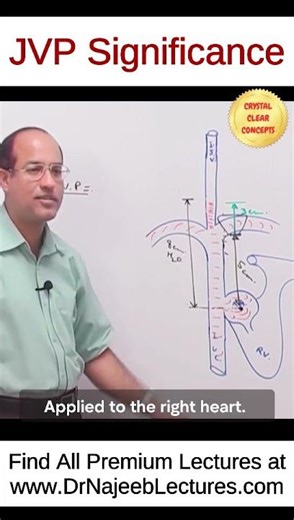 JVP Significance #drnajeeb #drnajeeblectures #shortvideo #youtubeshortsviral