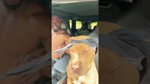 GANGSTER PARTY Lyrics - 2PAC | eLyrics.net