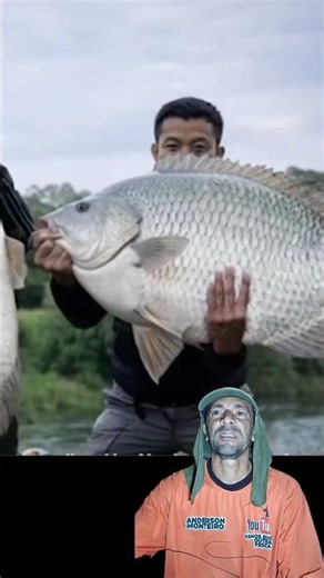 OS MAIORES PEIXES QUE VOCÊ VAI VER HOJE!