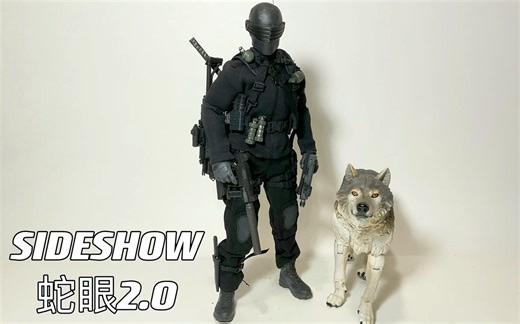 第11期：Sideshow 特种部队【12寸测评】蛇眼Gi Joe 1:6 2.0 Snake Eyes & Timber Review