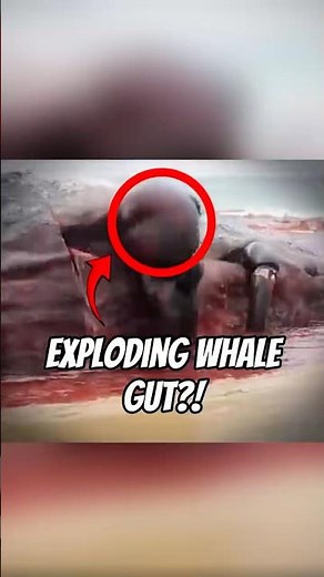 Exploding Animals?! Nature’s Grossest Secret 🤯 #animals #animalfacts #facts