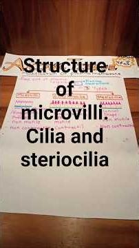 #structure of plasma membrane microvilli cilia and stereocilia#epithelial tissue #animal tissue
