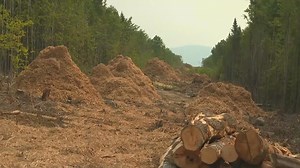 CMP corridor opponents push for immediate shutdown