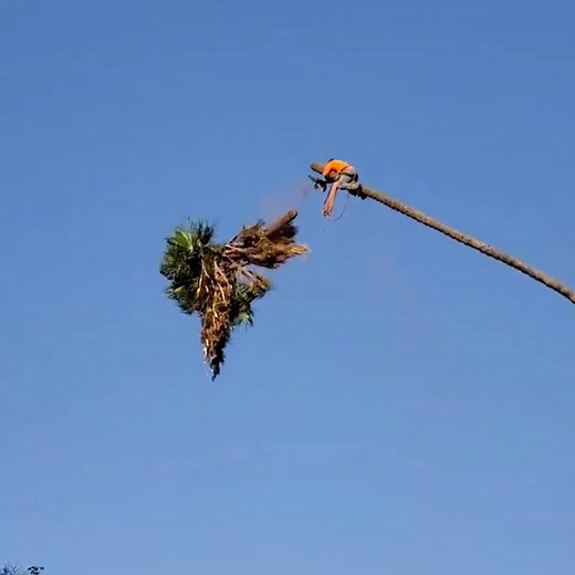 It would take some serious guts to do jobs like these every day... 😯😳 | LADbible