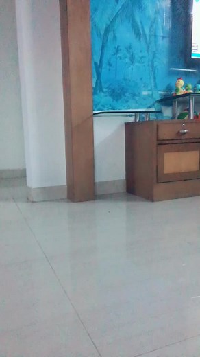 #nirvaan#tiktok for fun#like