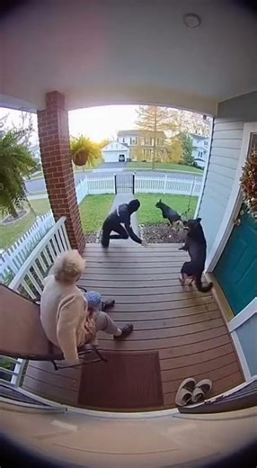 Two Dogs Save Grandma From Robbers!