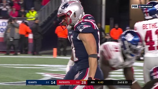 Julian Edelman soars for unreal 36-yard catch
