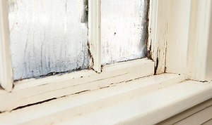 'Game changing' hack to cure damp, mould and condensation