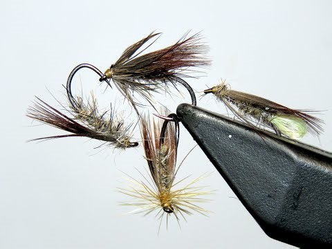 Nancy's Prayer - Four Variations