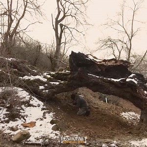 121K views · 3.2K reactions | Survival Shelter for Bushcraft In the wild, I constructed a bushcraft wooden hut. | Bushcraft Survival Man | Facebook