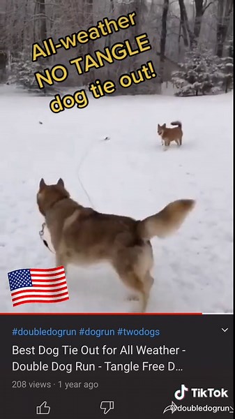 #dog #dogs #dogsoftiktok #pets #doghacks #2020vision #awakening