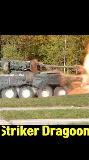 Why the US Upgraded the Stryker Into the Dragoon