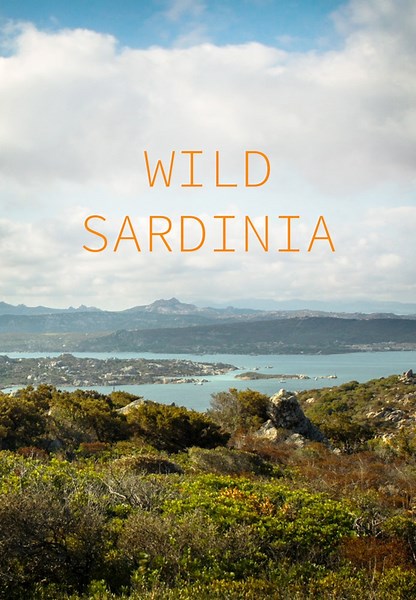 Wild Sardinia