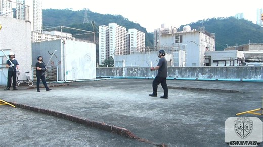 RSW 擬真兵器 alex 鋼碗刺劍 edwin 斬馬刀／海軍刀 yue 東風丸 hon wing 長卷 maxwell 麻雀丸