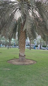 Generosity and Giving Practice generosity and sacrificial giving, freely offering resources and time for the advancement of God's work. 🌾 Remember this: Whoever sows sparingly will also reap sparingly, and whoever sows generously will also reap generously. Each of you should give what you have decided in your heart to give, not reluctantly or under compulsion, for God loves a cheerful giver. And God is able to bless you abundantly, so that in all things at all times, having all that you need, y