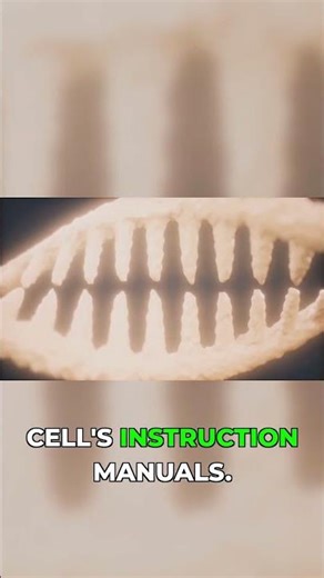 The Cell's Master Manuals: How Life Reproduces