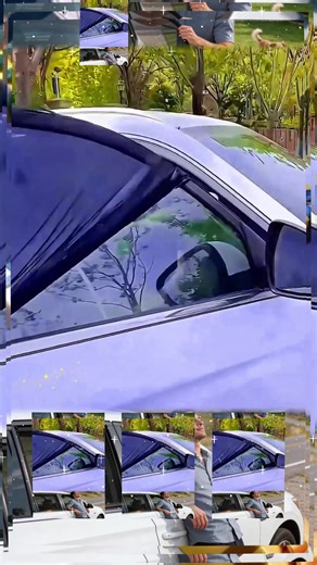 Car Window Sunscreen: Block Heat & Bugs