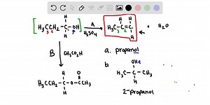 Consider the reactions of C3H7OH. (a) Name the reactant C3 H7 OH. (b) Draw a structural isomer of the reactant, and give its name (c) Name the product of reaction A. (d) Name the product of reaction B. | Numerade