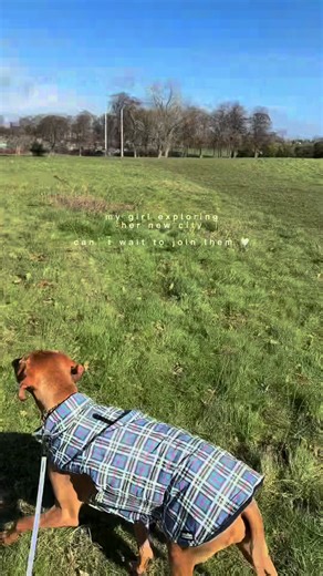 Sophie made it to Edinburgh! ⭐️ Zach and our girl are already exploring the city while I’m still in the U.S. waiting on my visa decision. We knew this move might involve a little time apart - but seeing these videos makes me even more excited to get there soon🤍 Counting down until we’re all back together in Scotland 🏴󠁧󠁢󠁳󠁣󠁴󠁿 #movingabroad #uk #americanineurope #scotland #edinburgh