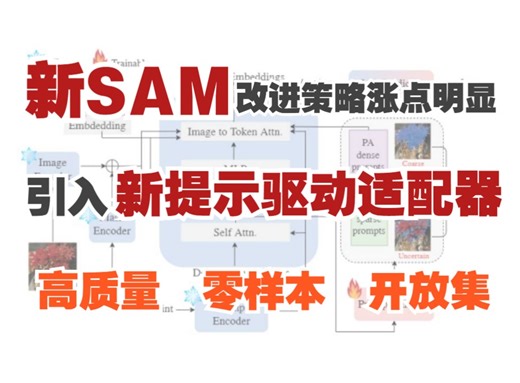 全新SAM改进策略涨点明显！引入新提示驱动适配器，实现高质量、零样本和开放集分割