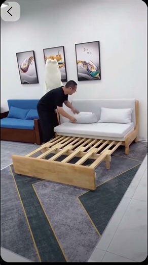 Is this the World's Cheapest Sofa Bed?