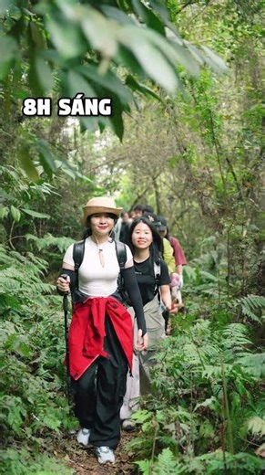 Trekking Ba Vì – Tưởng Đi Chill, Ai Dè Đi... Trả Nghiệp #trekkingbavi #hiking #bavi #trekking #trek