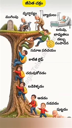 జీవిత చక్రం#BusinessIdeas#gas#trend#shorts#viralshort#old#war#cricket#meme#video#life#cricket#funny