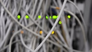 Close-up Ethernet Cable On Network Switches Stock Footage Video (100% Royalty-free) 3612867389 | Shutterstock