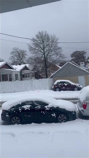 Snowstorm #stl #shorts #fyp #snow #snowstorm #tiktok #youtube