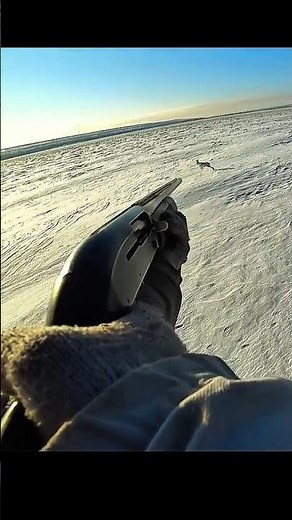 Traditional Rabbit Hunting: Skills, Gear, and the Chase ​#RabbitHunting ​#SmallGameHunting #chass