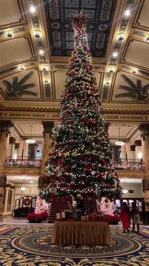 It’s the most ✨wonderful✨ time of the year! Did you know the Jefferson Hotel Richmond has been a prominent RVA landmark, famous for its ornate holiday décor, for over a century? Now through Jan. 4, 2026, The Jefferson is open to the public to view its iconic holiday display. Stop by to see the hotel adorned in thousands of twinkling lights and the 30-foot Christmas tree in the Rotunda. 🎄 Plus, make your plans now to rest and unwind after the busy holiday season with The Jefferson’s Winter Getaw