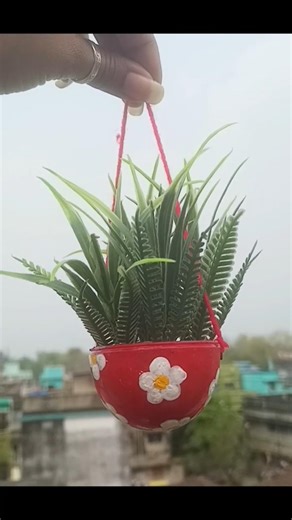 DIY Planter 🌿#diy #planter #shortsfeed #shorts #viralvideo