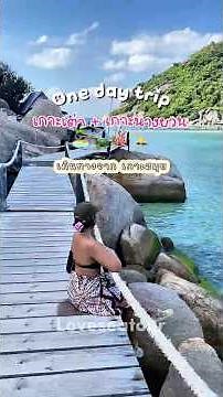 ทริปเกาะเต่า เกาะนางยวน เดินทางจากเกาะสมุย 1 วัน