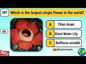 Largest, Biggest and Tallest on Earth Quiz|| 30 Easy Must Know GK Superlatives #quiz