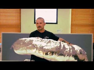 Don't Sweat the Small Stuff: DIY Duct Repair for Your Ducted Air Conditioning System