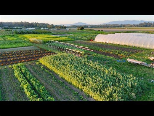 Viva el Suelo: From Farmers to Soil Health Managers Project Trailer | Sieglinde Snapp