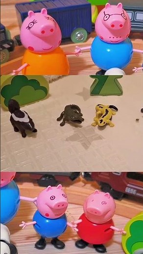 Prasátko Peppa s rodinkou obdivují skunka v zoo | Hraná pohádka s hračkami | Divadlo