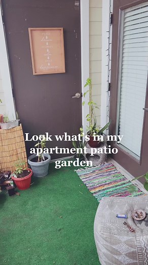 My apartment patio garden 🌱💚🪴#gardentok #apartmentgardening