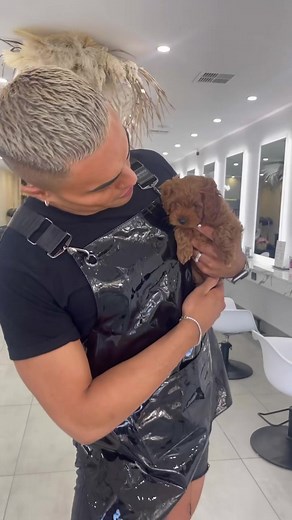 Transform Your Hairstyle with New Hair Aprons