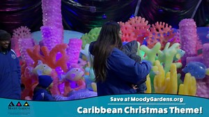 94 reactions · 27 shares |  Holiday in the Gardens is back!  Visit Ice Land, the Festival of Lights, the Arctic Slide, the Ice Skating Rink and so much more Nov. 19 - Jan. 7!  Get your tickets now: https://bit.ly/2lXmIhf | Moody Gardens | Facebook