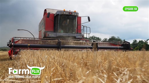 22K views · 281 reactions | Coming this Sunday... 朗 Get excited for Boyes' Contracts! #farmflix #farming #agriculture | Farmflix | Facebook