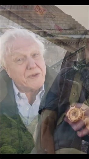 David Attenborough: Our Terrifying Impact on Nature #shorts