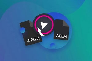 File WebM là gì? Cách mở và chuyển đổi file WebM sang các định dạng khác